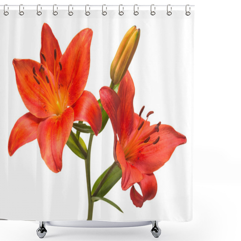 Personality  Red Lily Flowers Shower Curtains