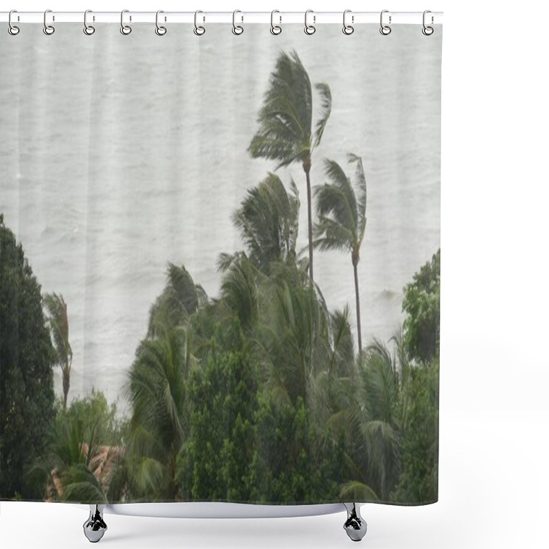 Personality  Pabuk Typhoon, Ocean Sea Shore In Thailand. Natural Disaster, Eyewall Hurricane. Strong Extreme Cyclone Wind Sways Palm Trees. Tropical Flooding Rain Season, Heavy Tropical Storm Weather, Thunderstorm Shower Curtains