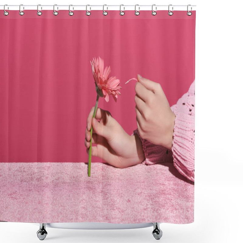 Personality  Cropped View Of Woman Picking Out Gerbera Petals On Velour Cloth Isolated On Pink, Girlish Concept  Shower Curtains