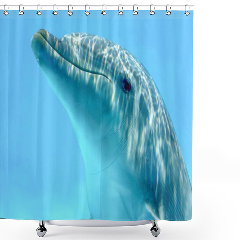 Personality  Dolphin Underwater Shower Curtains