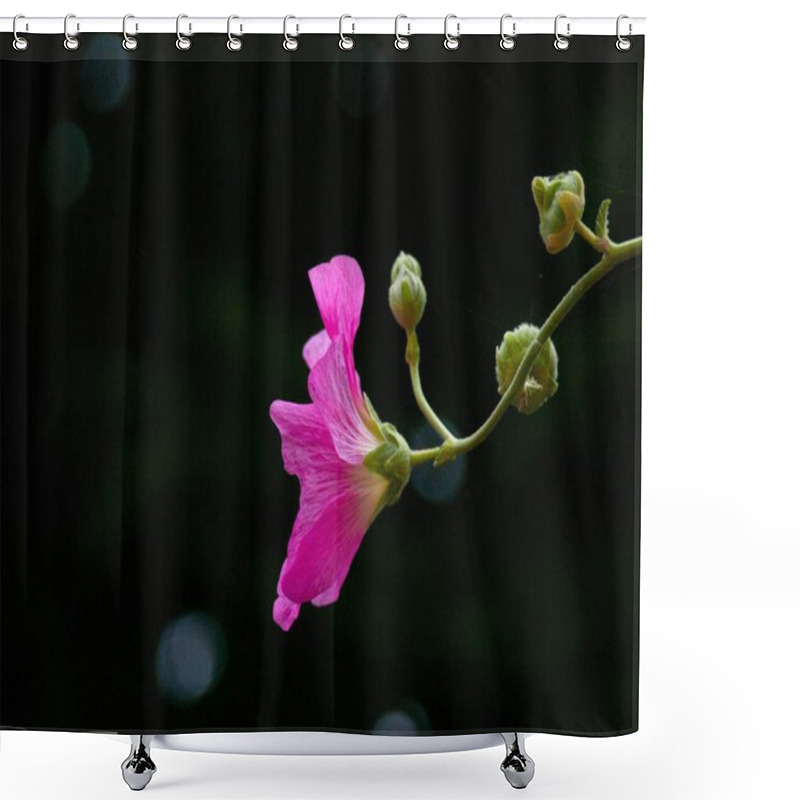 Personality  Close-up Of A Vibrant Pink Hollyhock Flower With Buds Against A Dark Blurred Background. Concept Of Summer Blooms, Ornamental Gardening, Delicate Beauty, And Floral Elegance. Copy Space. Shower Curtains