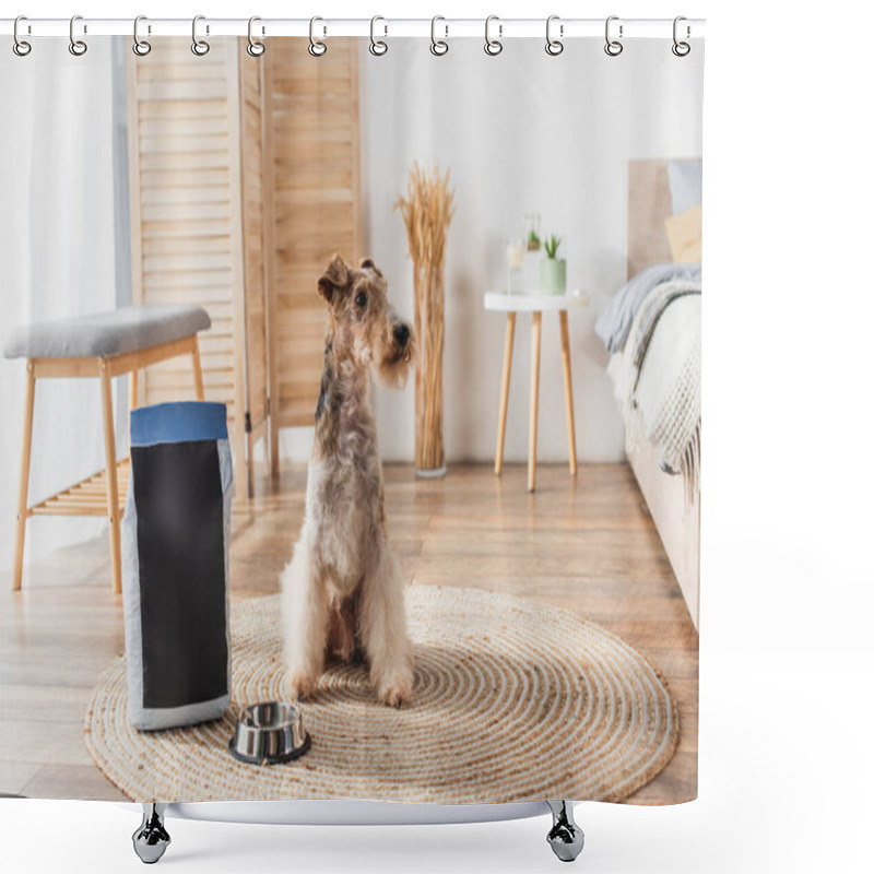 Personality  Wirehaired Fox Terrier Sitting Near Pet Food In Package And Bowl In Modern Bedroom  Shower Curtains