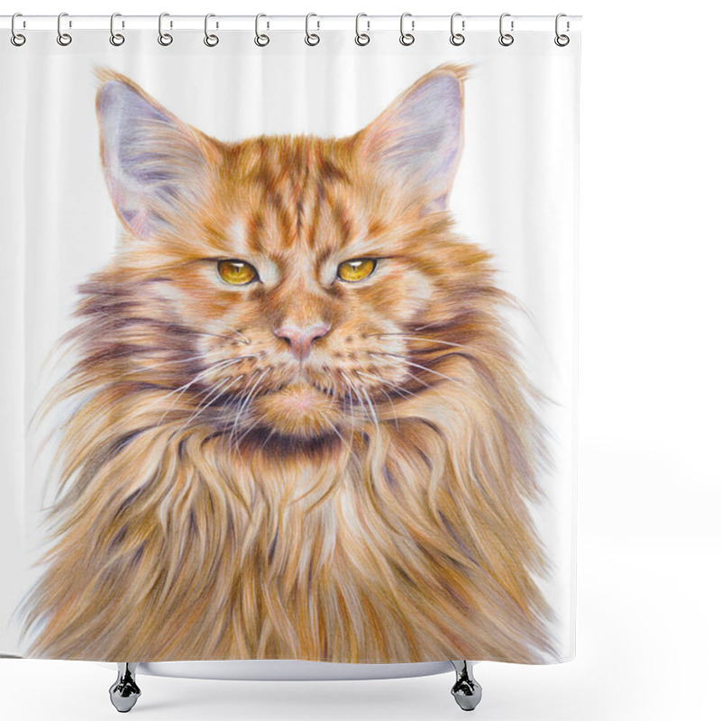 Personality  Colorful Handdrawing Portrait Of A Maine Coon Cat. Pet On White Background. Realistic Hand Drawin Shower Curtains