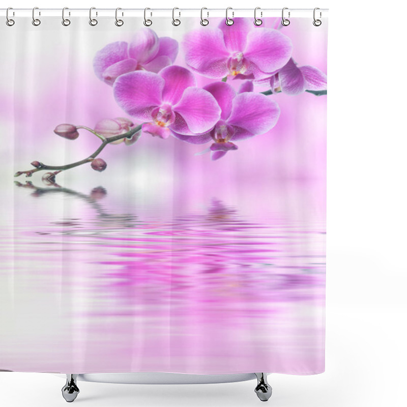 Personality  Beautiful Purple Orchid Flowers Reflected In The Water Shower Curtains