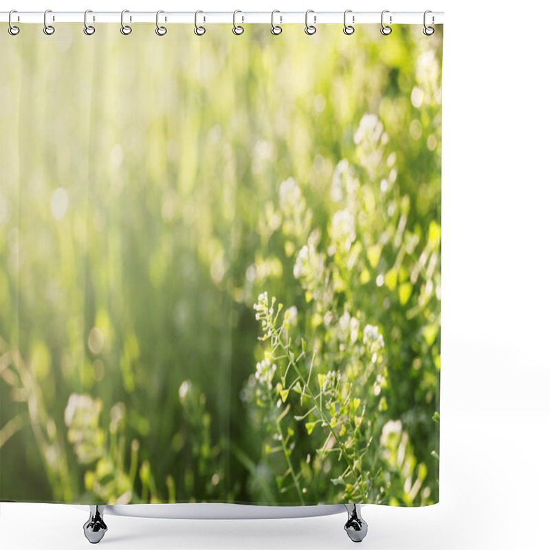 Personality  Summer Background, Grass At Sunset Shower Curtains