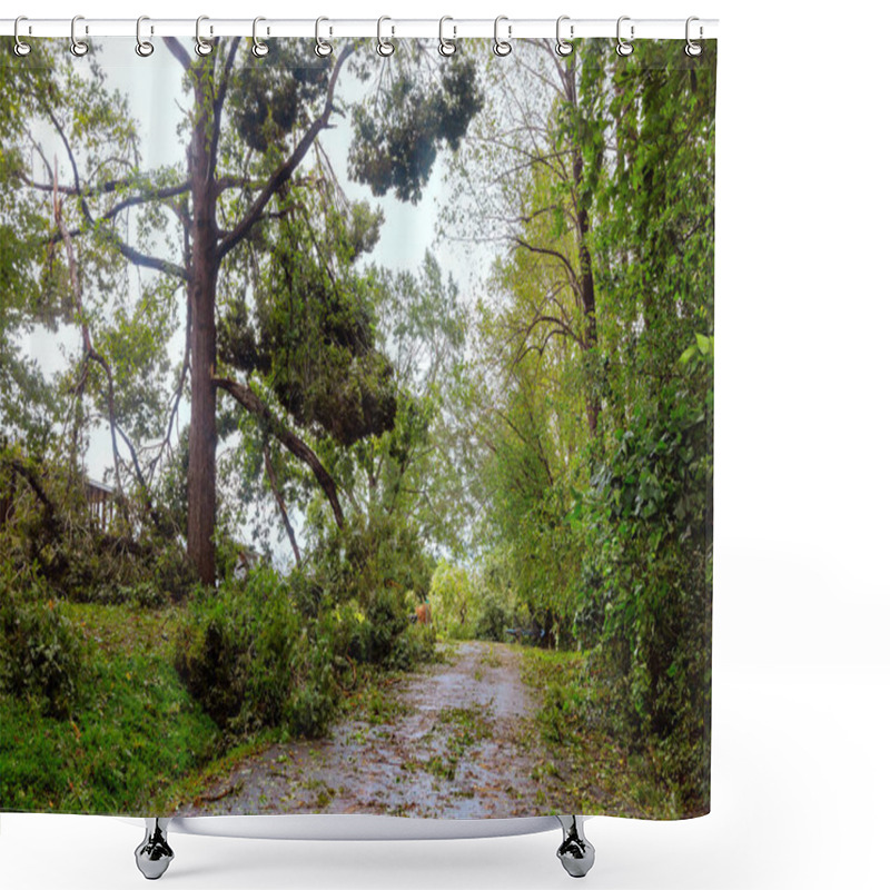 Personality  After Recent Storm, Rural Road Is Lined With Fallen Branches Trees, Showcasing Impact Of Severe Weather Hurricane Damage. Shower Curtains