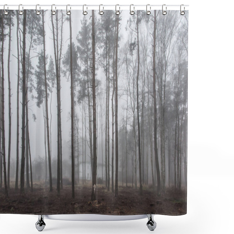 Personality  Fog In The Forest Creating A Gloomy Image As A Background Shower Curtains