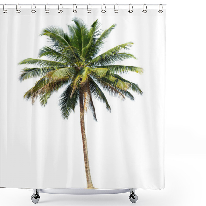 Personality  Coconut Palm Tree Isolated On White Background. Shower Curtains