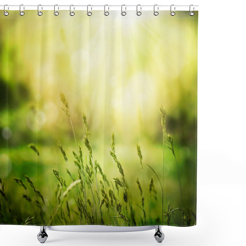 Personality  Summer Background Shower Curtains