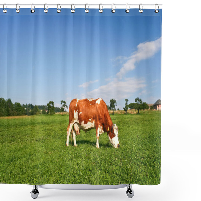 Personality  Grazing Cow Shower Curtains