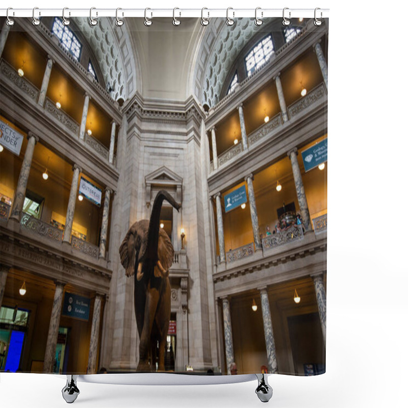 Personality  JUN 2, 2018 - WASHINGTON DC, USD: African Elephant At The Entrance Of Smithsonian National Museum Of Natural History, Washington DC, USA Shower Curtains