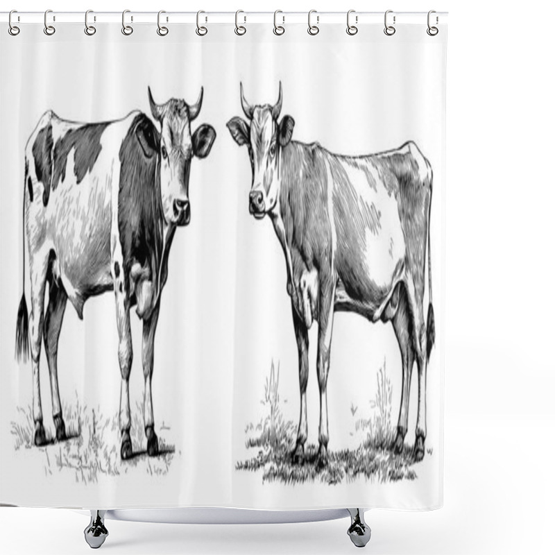 Personality  Cows Two Sketch Hand Drawn In Doodle Style Illustration Shower Curtains