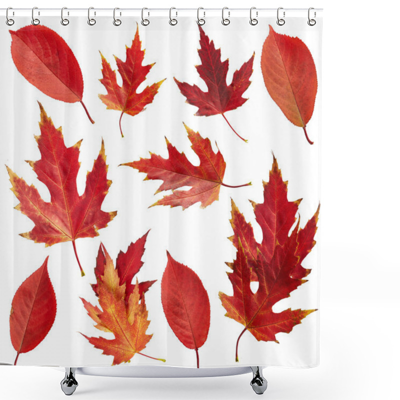 Personality  Autumn Red Leaves Shower Curtains