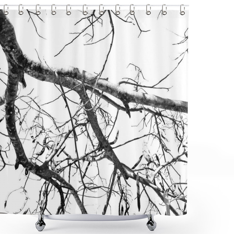 Personality  Abstract Texture Of A Branches In The Empty Sky Like Concept Shower Curtains