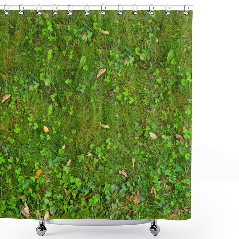 Personality  Seamless Autumn Grass Texture With Foliage Shower Curtains