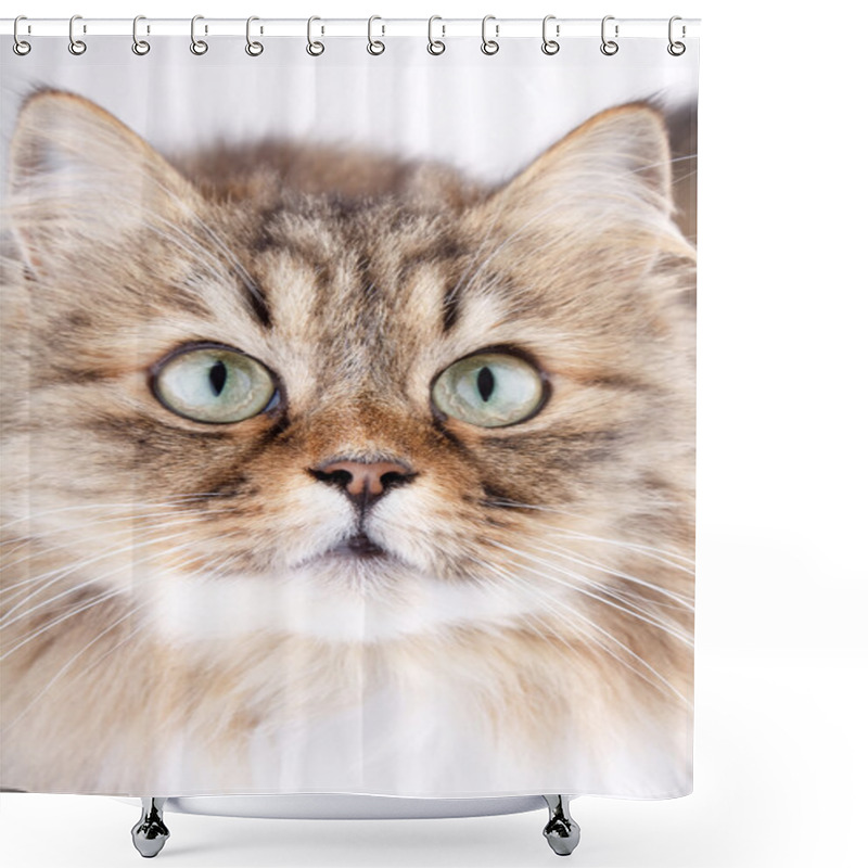 Personality  Close-up Portrait Of Siberian Cat Shower Curtains