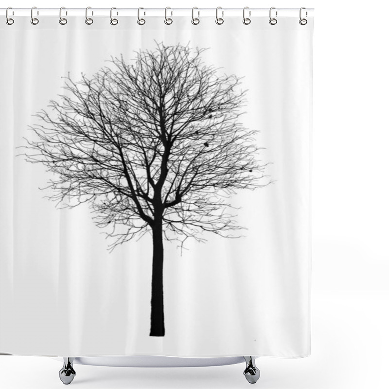 Personality  Dead Tree Silhouette.  Dry Oak Crown Without Leafs Isolated On W Shower Curtains