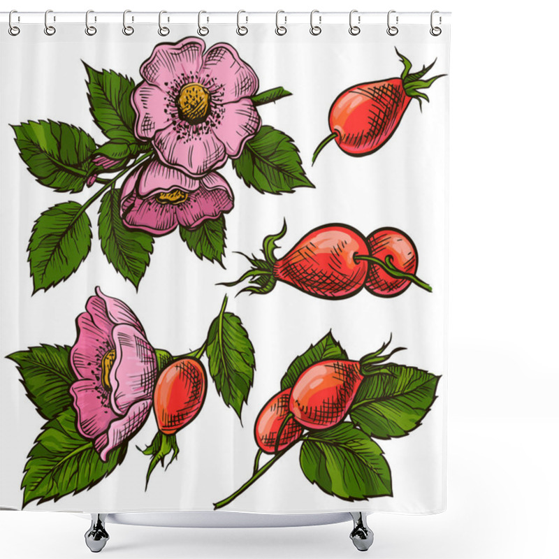 Personality  Vector Set Of Rosehip`s Flowers, Hand Drawn Illustration Of Wild Roses And Berries And Leaves Isolated On White Background. Shower Curtains