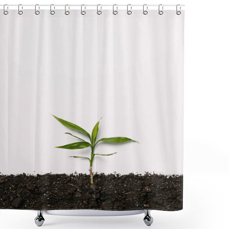 Personality  Top View Of Green Plant In Soil Isolated On White Shower Curtains