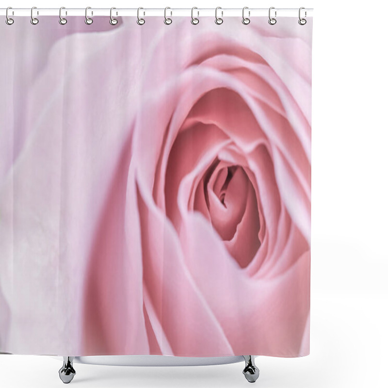 Personality  Pink Rose Flower. Macro Flowers Background For Holiday Design Shower Curtains