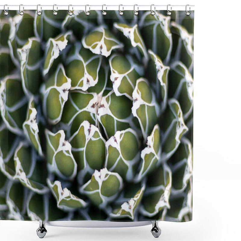 Personality  Agave Rosettes Texture Natural Background Shower Curtains