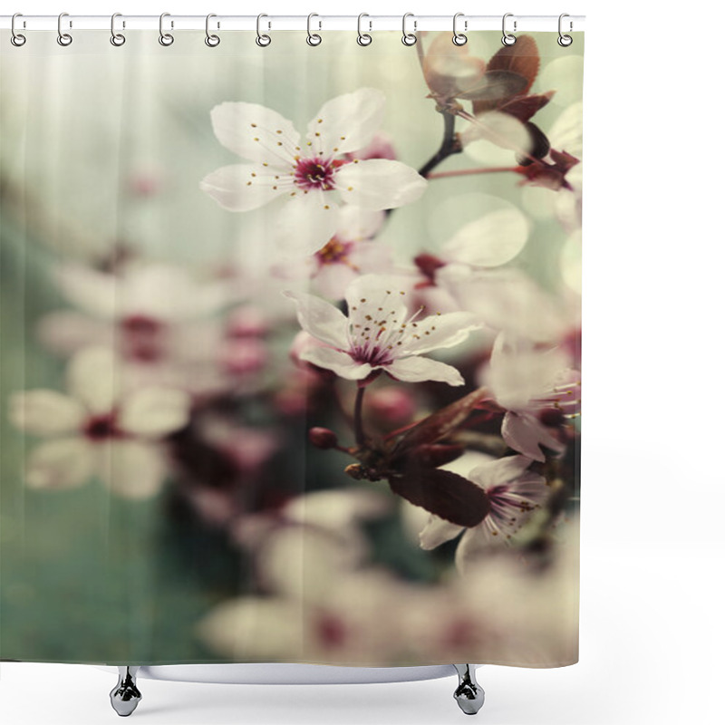 Personality  Spring Cherry Blossoms Shower Curtains