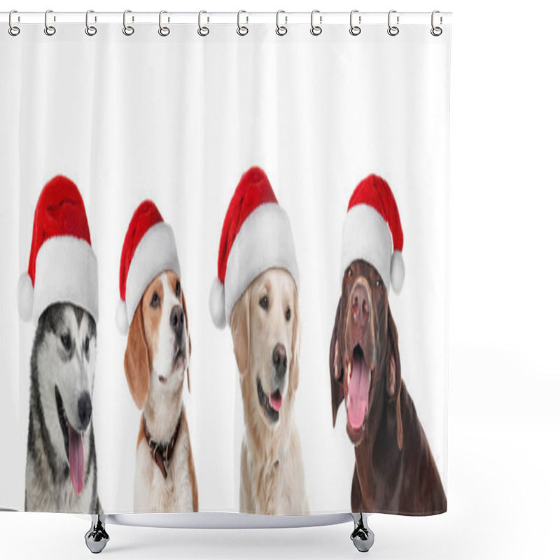 Personality  Row Of Cute Dogs With Santa Claus Hats On White Background. Christmas Concept  Shower Curtains