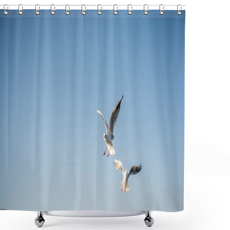 Personality  Seagulls Flying In The Sky Over Sea Shower Curtains