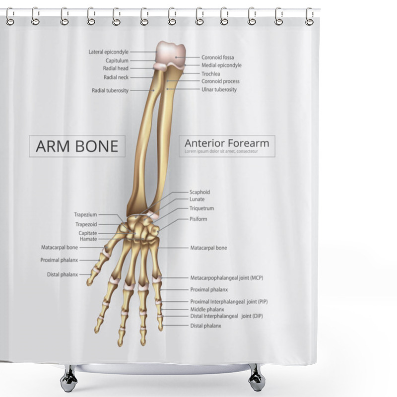 Personality  Arm And Hand Bone Vector Illustration Shower Curtains