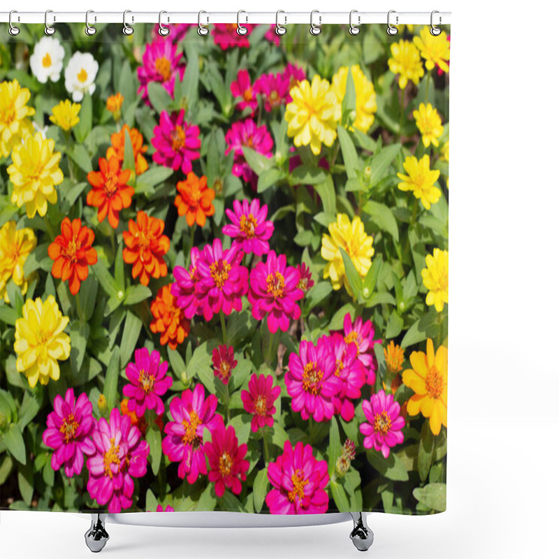 Personality  Zinnia Flower In The Garden Shower Curtains