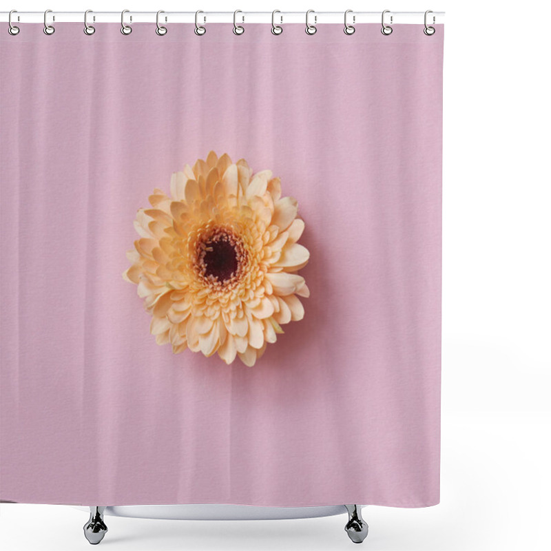 Personality  Beautiful Orange Gerbera Flower On Pink Background, Greeting Card, Valentine's Day, Mother's Day  Shower Curtains