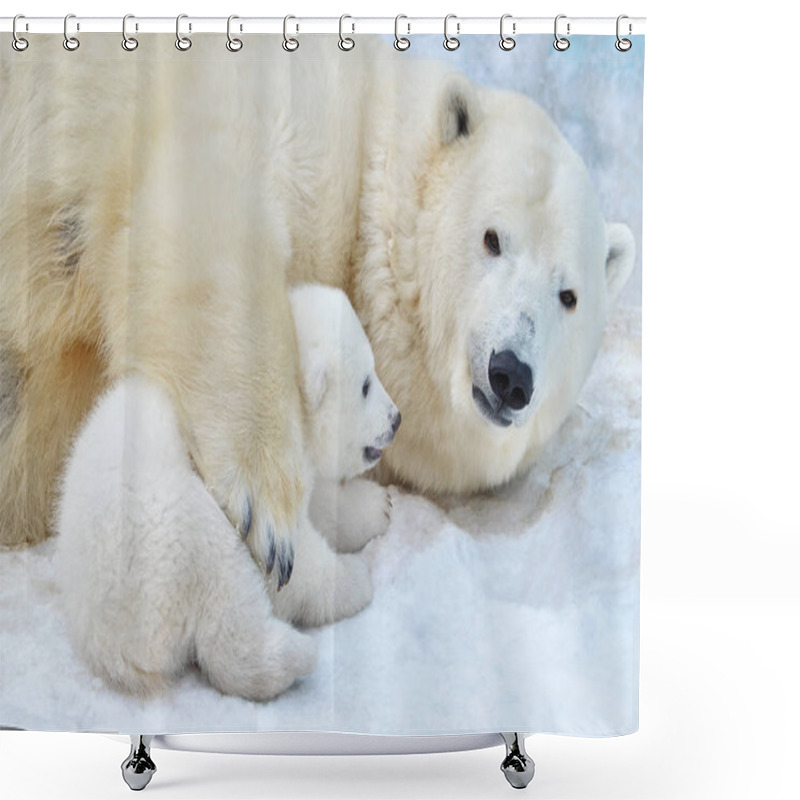 Personality  White Bear Feeding Young Cubs Shower Curtains