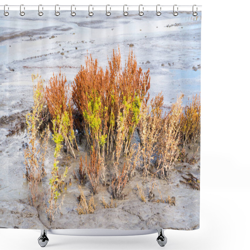 Personality  Golden Dock, Rumex Maritimus, And Willowherb, Epilobium Hirsutum, Growing On Mudflat, Marker Wadden, Netherlands Shower Curtains