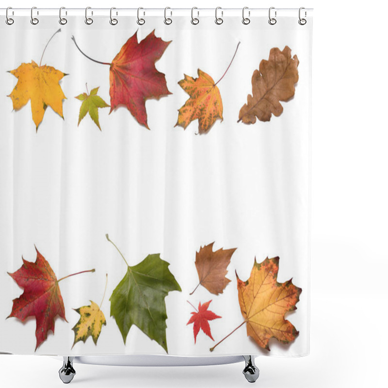 Personality  Colorful Autumn Leaves On White Background. Fall Season Backdrop.Foliage Border,frame. Shower Curtains