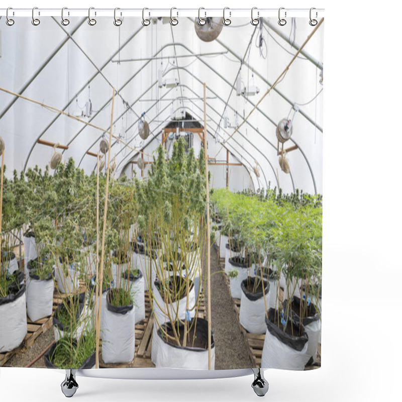 Personality  Legal Marijuana Grow Facility In Oregon Shower Curtains