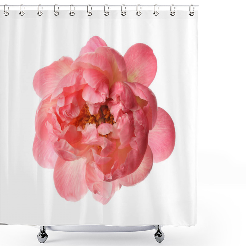 Personality  Beautiful Blooming Pink Peony Isolated On White Shower Curtains