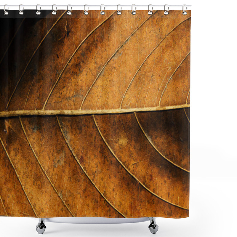 Personality  Dried Leaf Texture Shower Curtains