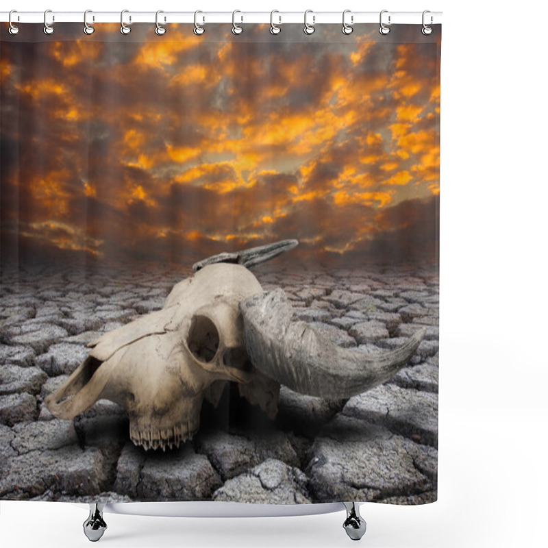 Personality  Buffalo Skull In Drought Disaster Land Shower Curtains