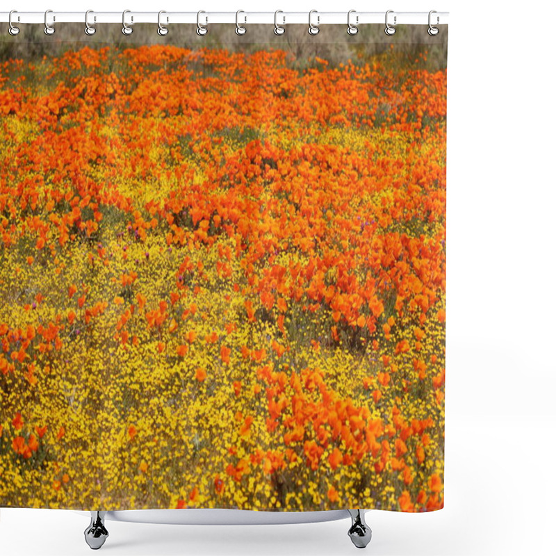 Personality  Expansive Field Of Orange Poppies And Yellow Wildflowers Shower Curtains