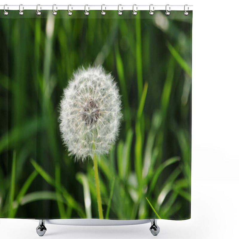 Personality  Dandelion Shower Curtains