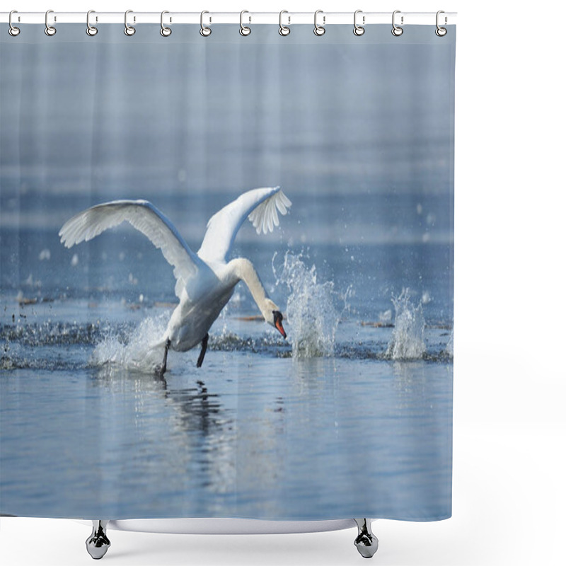 Personality  Swans Taking Flight On Lake Shower Curtains