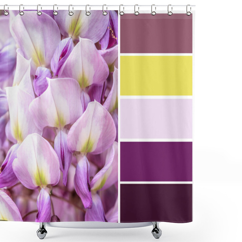 Personality  Beautiful Blue Wistaria  With Complimentary Swatches. Shower Curtains