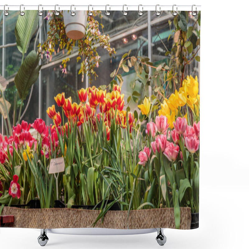 Personality  Flowers In Green House. Floral Bouquet Shop. Blooming Plants And Multi Color Flowers Inside A Garden Center Shower Curtains