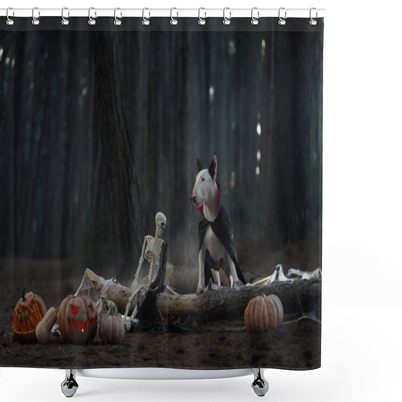 Personality  A Bull Terrier Sits Surrounded By Halloween Decorations, Including Pumpkins And A Skeleton, In The Forest. The Eerie Setting And Decorations Create A Spooky Halloween Atmosphere. Shower Curtains