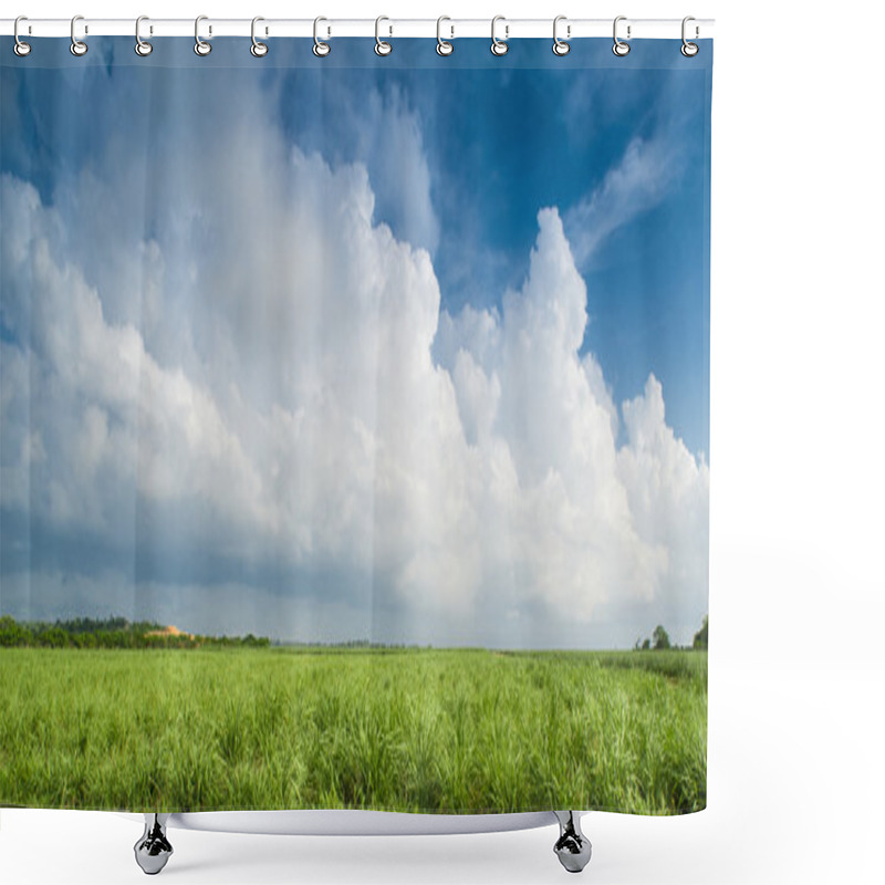 Personality  Caribbean Sugar Cane Plantations In Dominican Respublic Shower Curtains