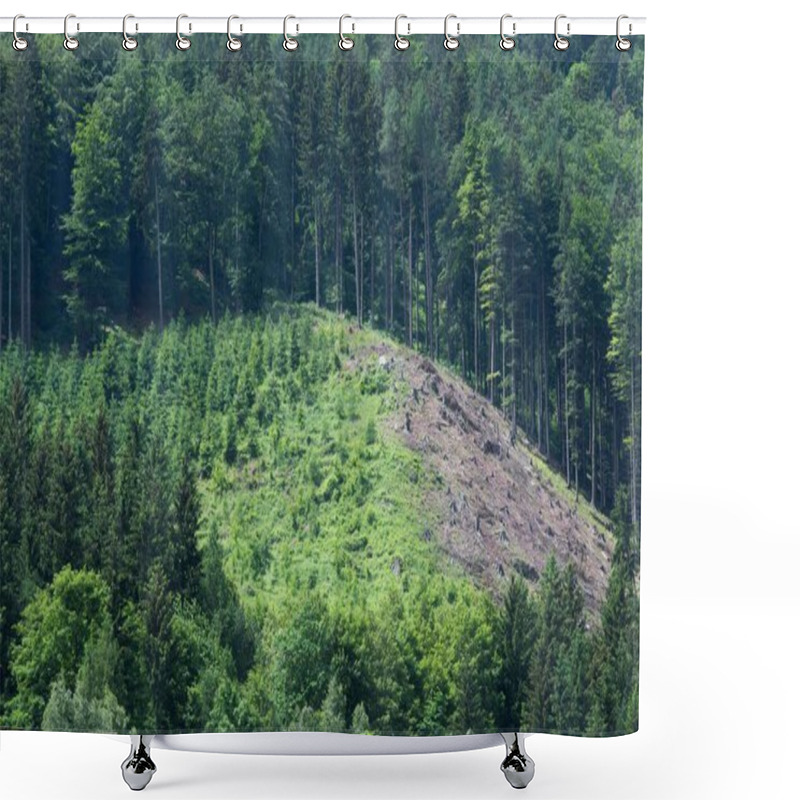 Personality  Reforestation Or Reafforestation In A Forest, Tree Planting And Growing Shower Curtains