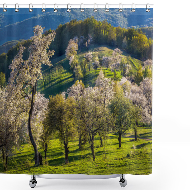 Personality  Morning Cherry Orchard In A Small Village In Slovakia Shower Curtains