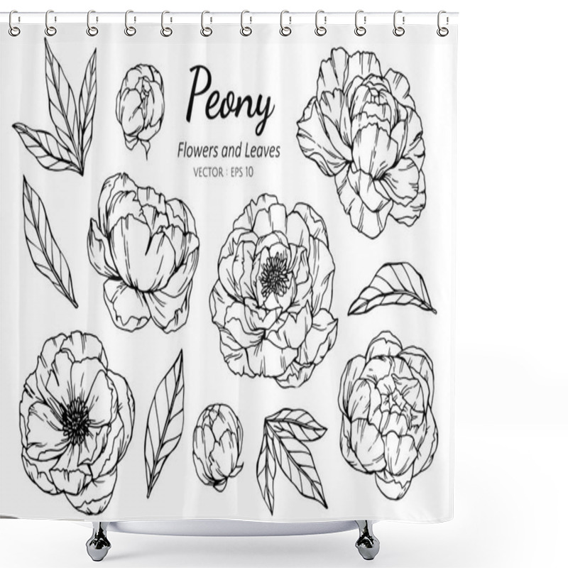 Personality  Collection Set Of Peony Flower And Leaves Drawing Illustration. Shower Curtains