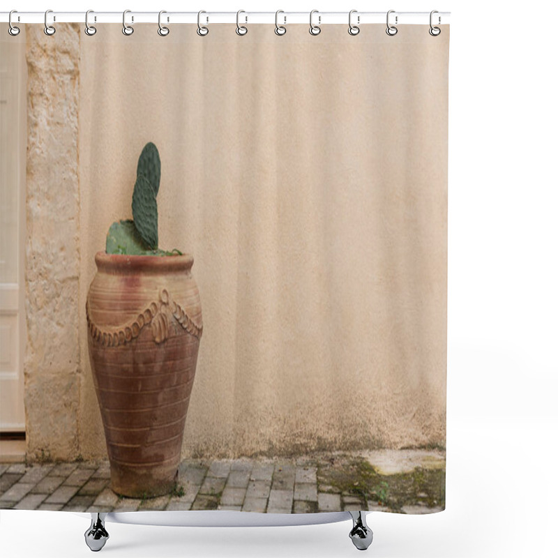 Personality  Green Cactus With Spikes In Flowerpot Near Wall  Shower Curtains