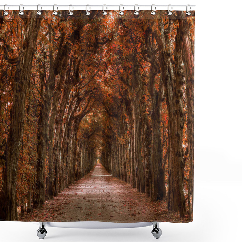 Personality  Autumnal On Nature Landscape Background Shower Curtains